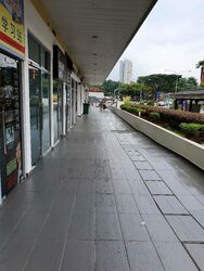 Suites @ Bukit Timah (D21), Shop House #464190121